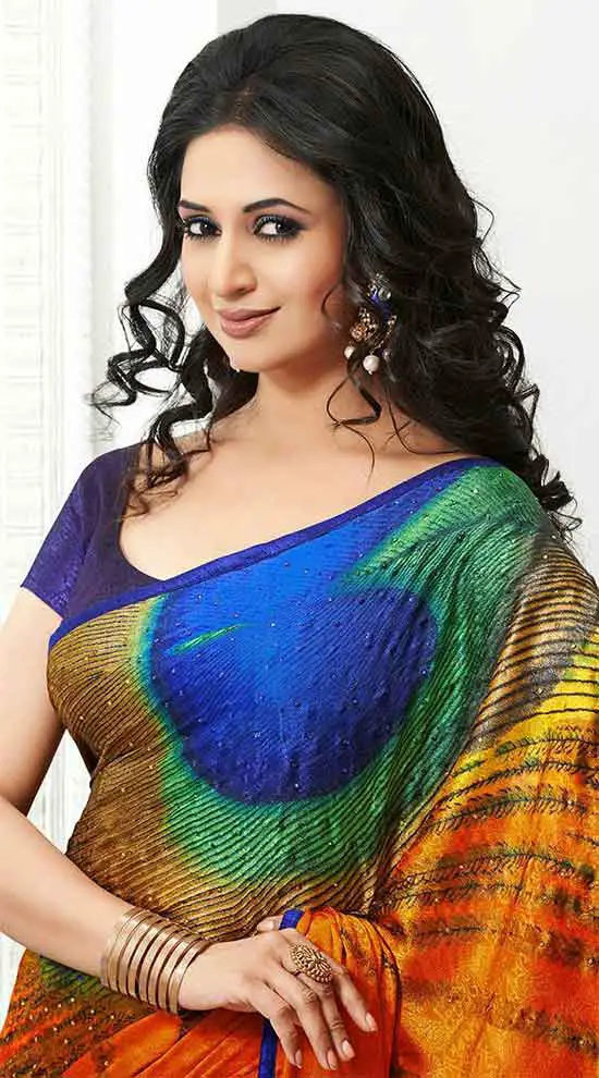 18 Awesome Pics Of Divyanka Tripathi In Saree