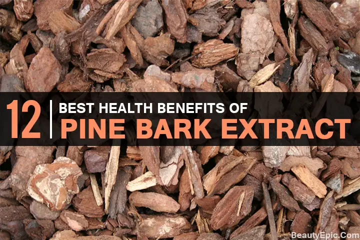 Proven Pine Bark Extract Benefits