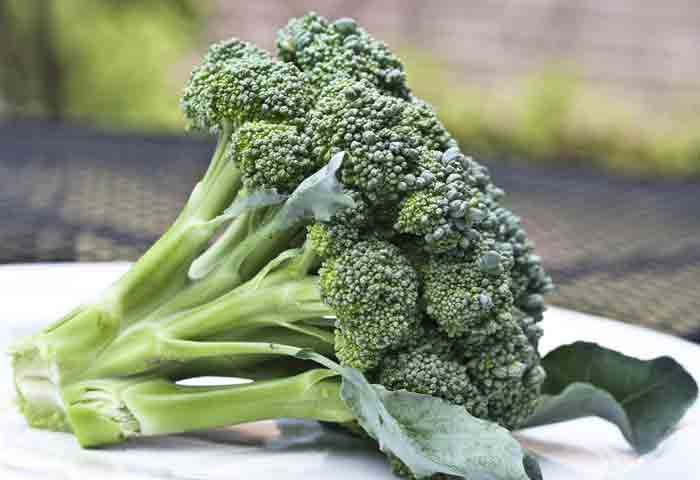 the-broccoli