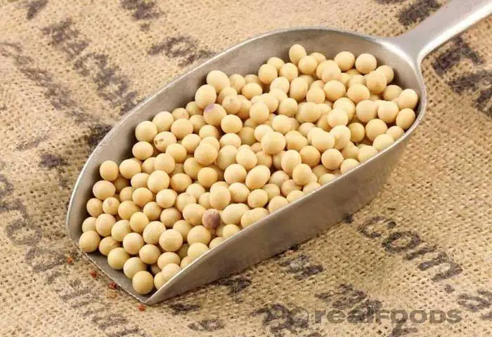 Soya Beans