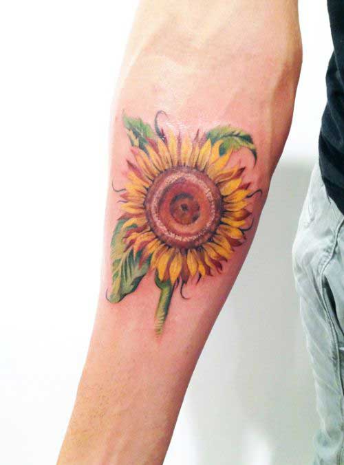 A colorful sunflower on the hands