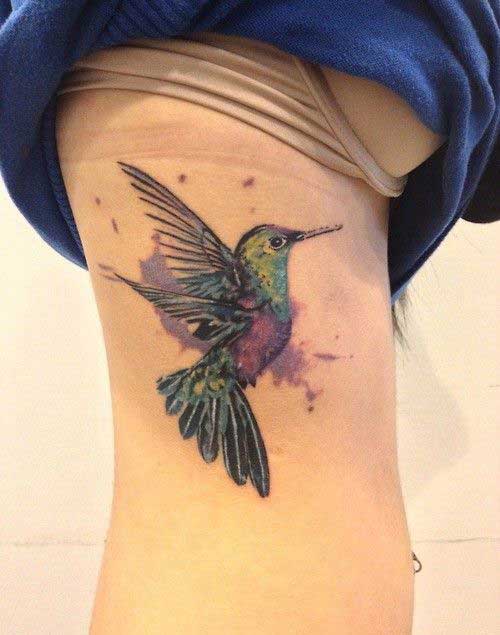A vibrant humming bird on ribs
