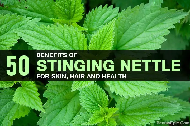 Amazing benefits of Stinging Nettle