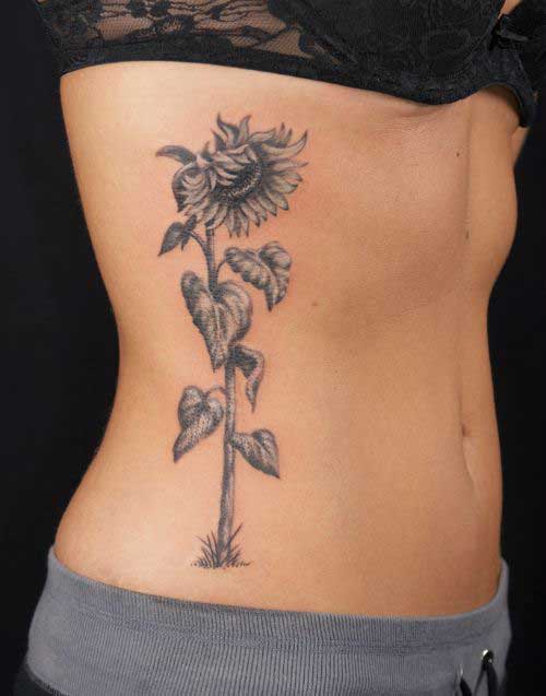 gorgeose-sunflower-and-leaves-on-the-ribs
