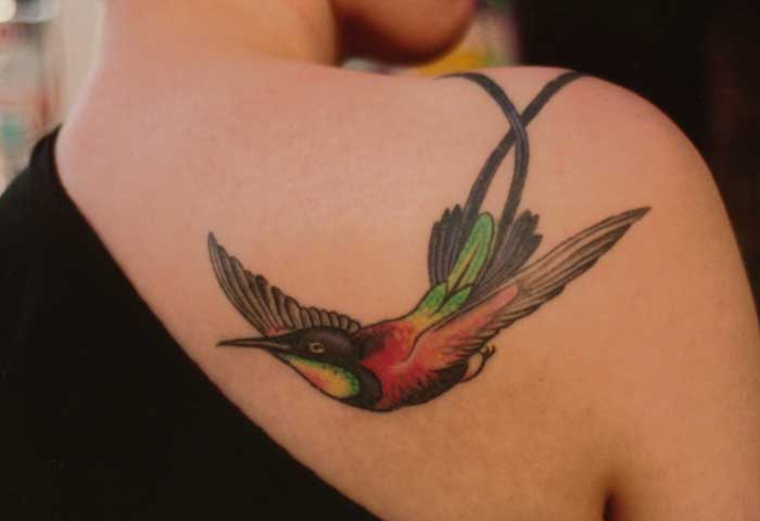 hummingbird tattoo designs