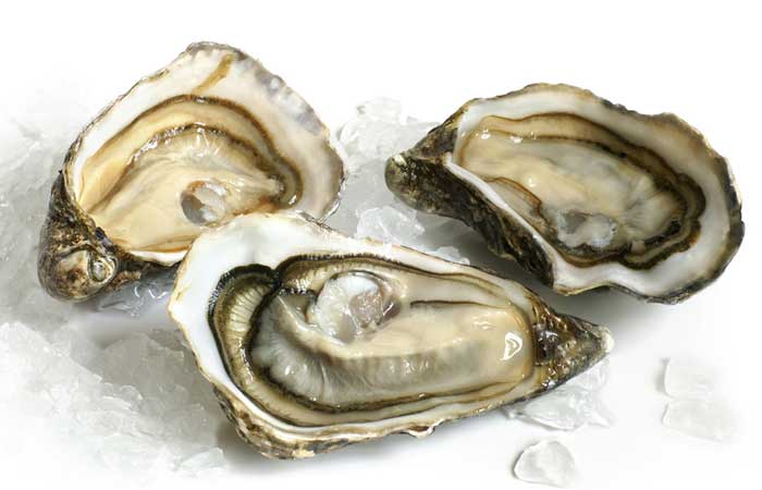 Oysters