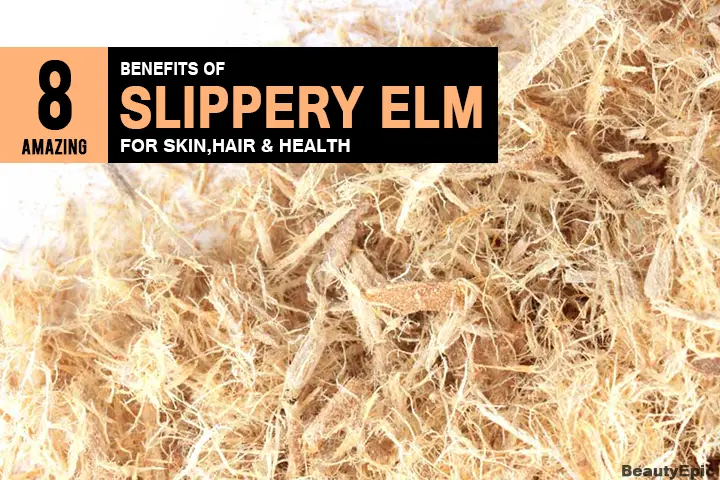 Slippery Elm Benefits