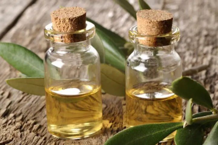 Tea Tree Oil for Scars