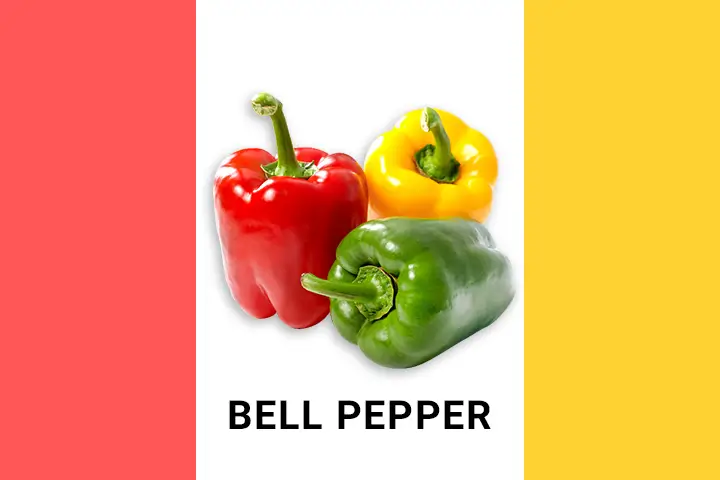 bell peppers for fat loss