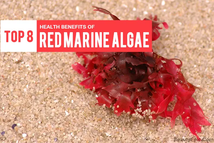 benefits of red marine algae