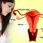 facts about mensuration