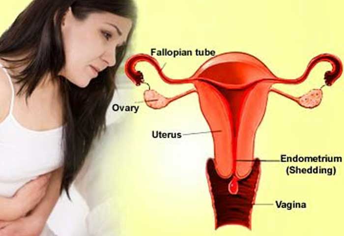 facts about mensuration