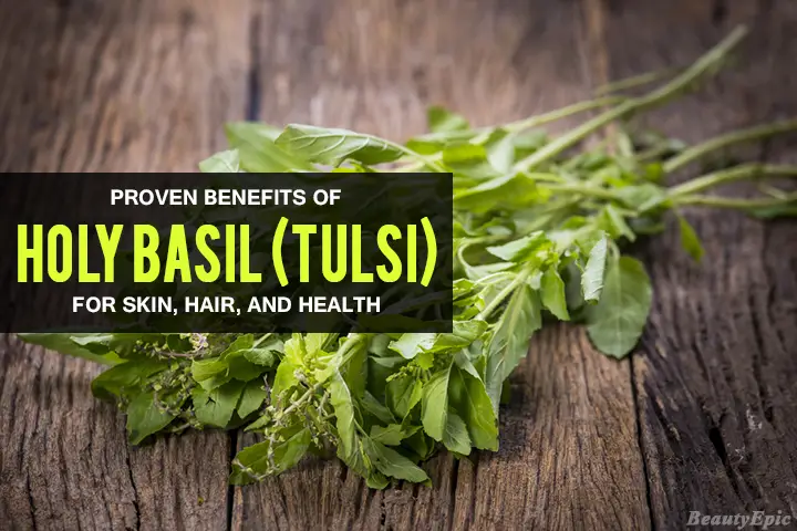 holy basil benefits