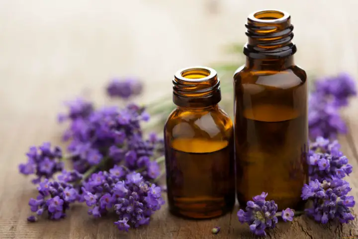 lavender oil