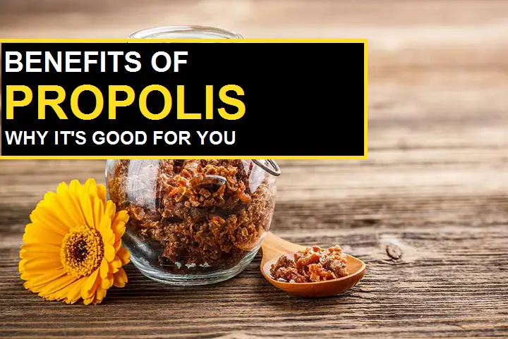 propolis benefits