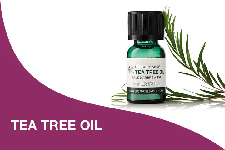 tea tree oil for dry itchy scalp