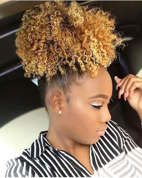 Pine Apple Ponytail