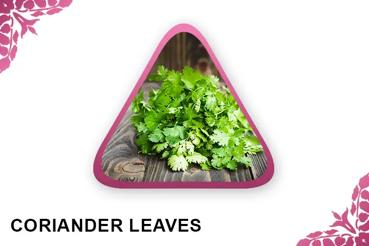  Coriander Leaves