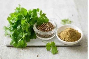20 Best Health Benefits Of Coriander Seeds