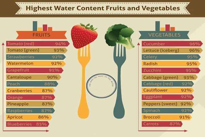 the volumetrics diet