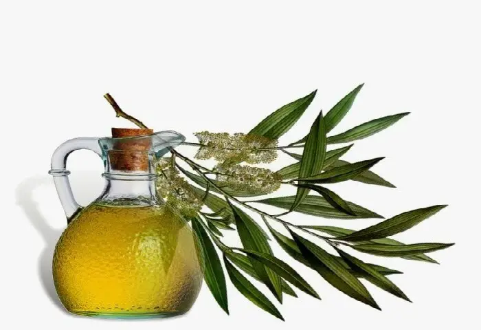 Using Tea Tree Oil