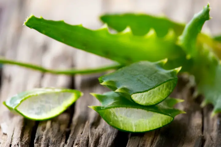 aloe vera gel to remove makeup