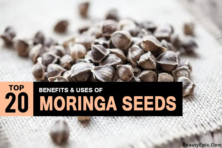 moringa seeds health benefits