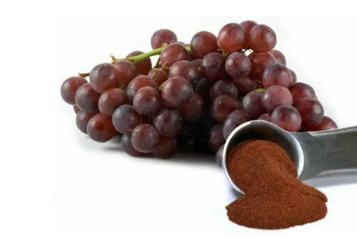 Grape Seed Extract