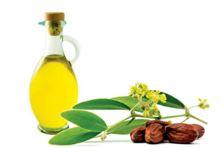 Jojoba Oil for Acne