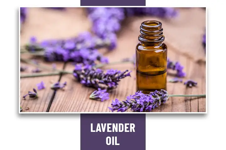 Lavender Oil  for Headache