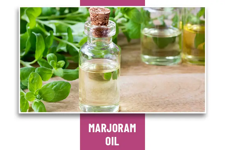 Marjoram Oil  for Headache