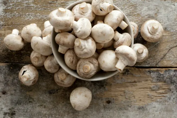 Mushrooms with Lots of Fiber