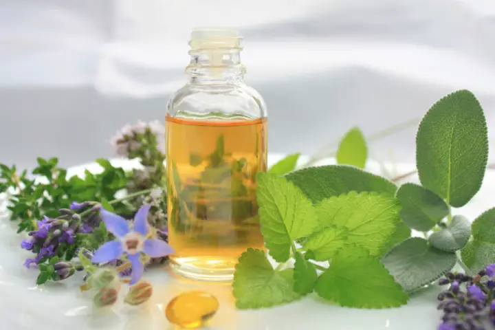 Oregano Oil for toothache