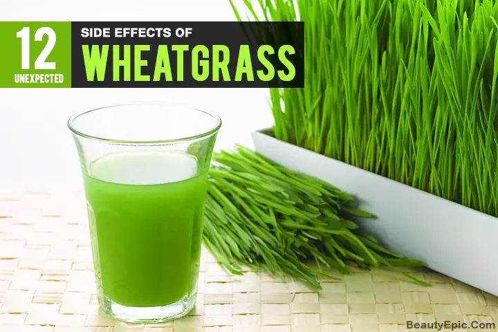 wheatgrass side effects