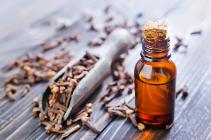 Clove Oil for Dry Socket