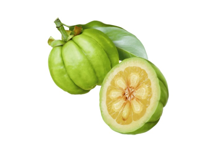 Garcinia Cambogia Benefits