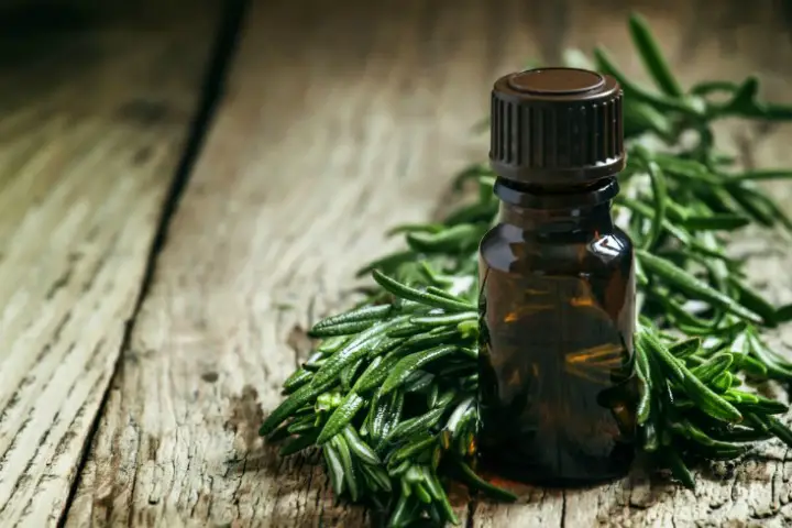 rosemary essential oil for hair loss