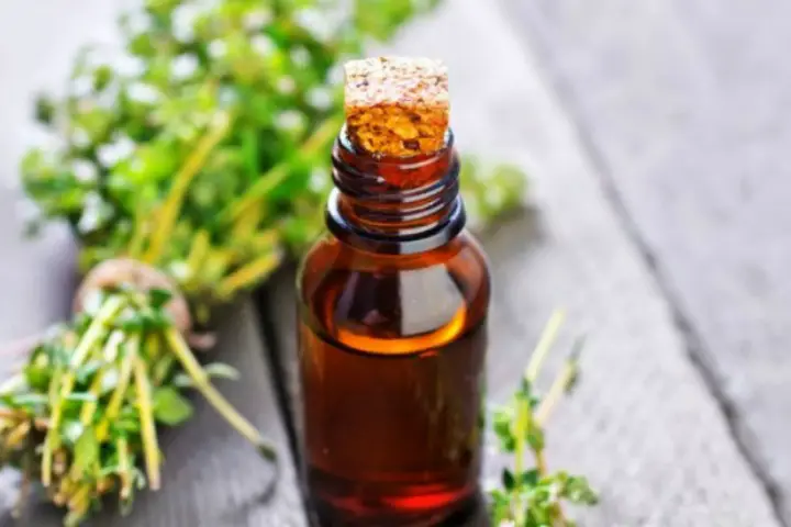 Thyme Oil for Ear Infection
