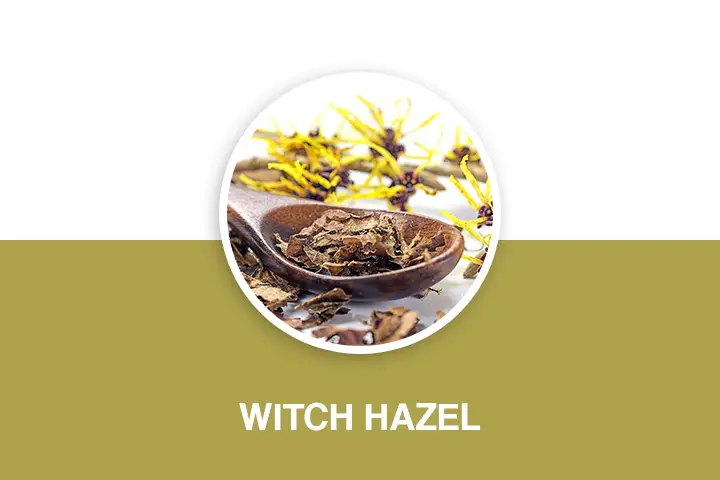 witch hazel for razor bumps