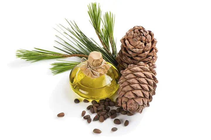 cedarwood essential oils for hair loss