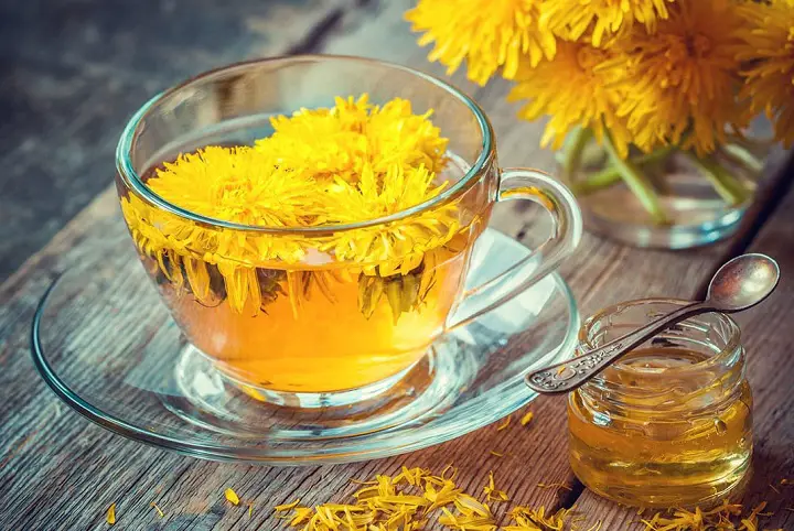 how to make dandelion tea for weight loss