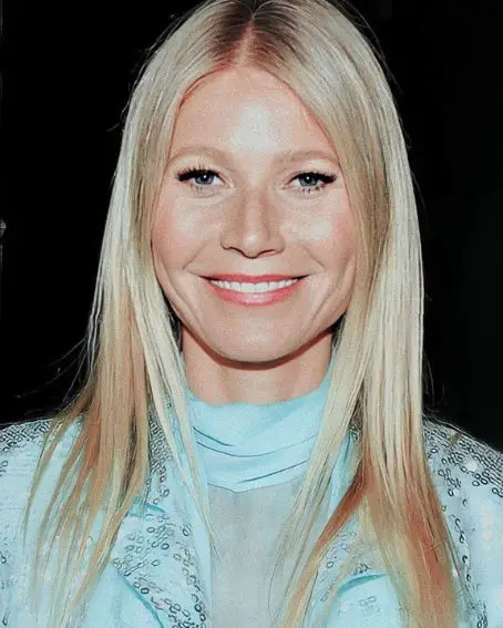 Gwyneth Paltrow Long Blonde Fine Hair