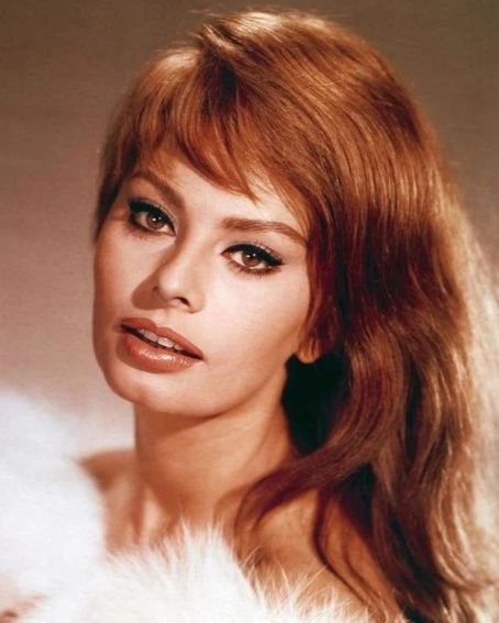 Sophia Loren Medium Red Hairstyles