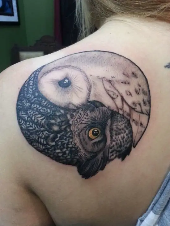 owl tattoo on back shoulder