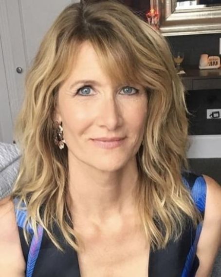 Laura Dern Medium Shag Haircut