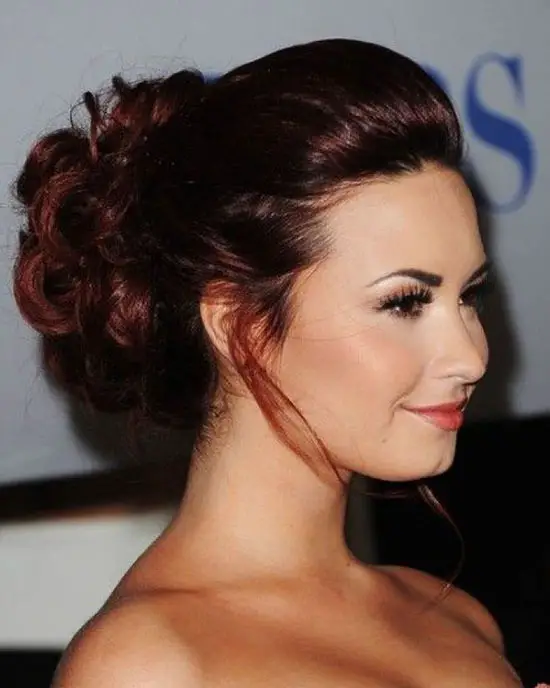 Demi Lovato updo for long hair