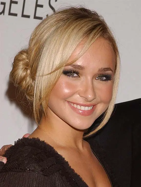 Hayden Panettiere updo for long hair