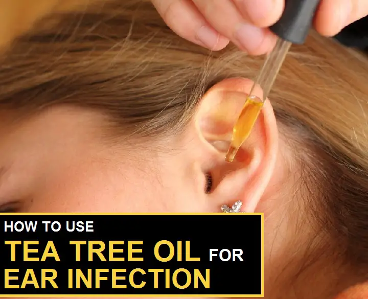 tea tree oil for ear infection