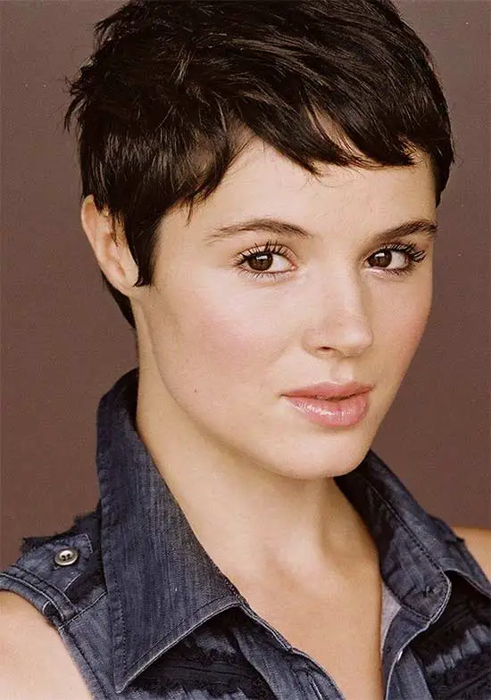 Download Pixie Cuts For Thick Hair Pics