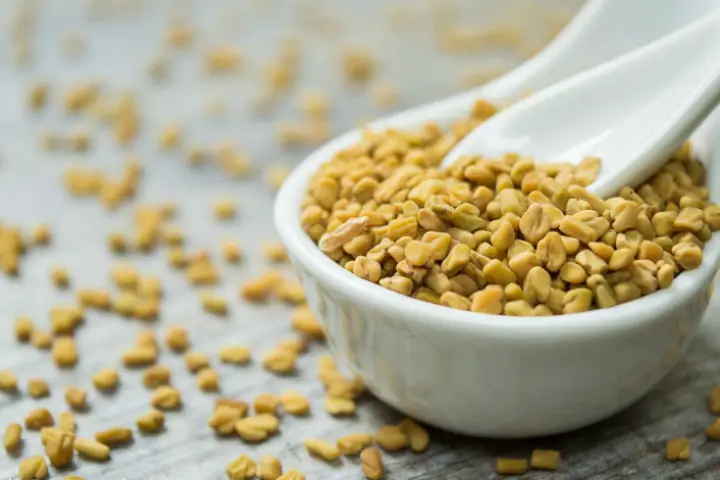 fenugreek for milk supply